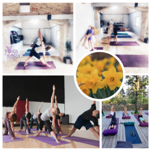 Yogamaga Beaune enseignement qualifié de yoga en Bourgogne
