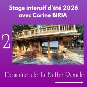 stage de yoga IYENGAR en France