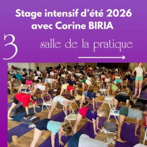 Stage intensif de yoga Iyengar à Rambouillet 4